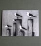 Blank Fine Art Card with envelope - Image 2