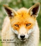 Exclusive Fox Portrait Greetings Card - Image 1