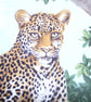 On Safari Leopards in a tree cushion - Image 3