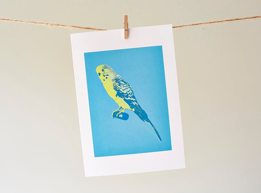 'Booth Budgie' greetings card