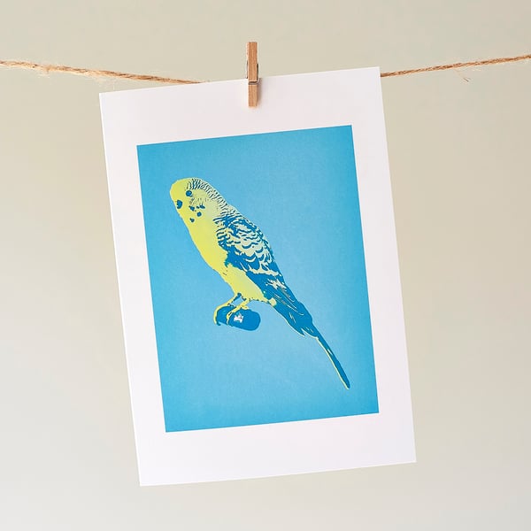 'Booth Budgie' greetings card