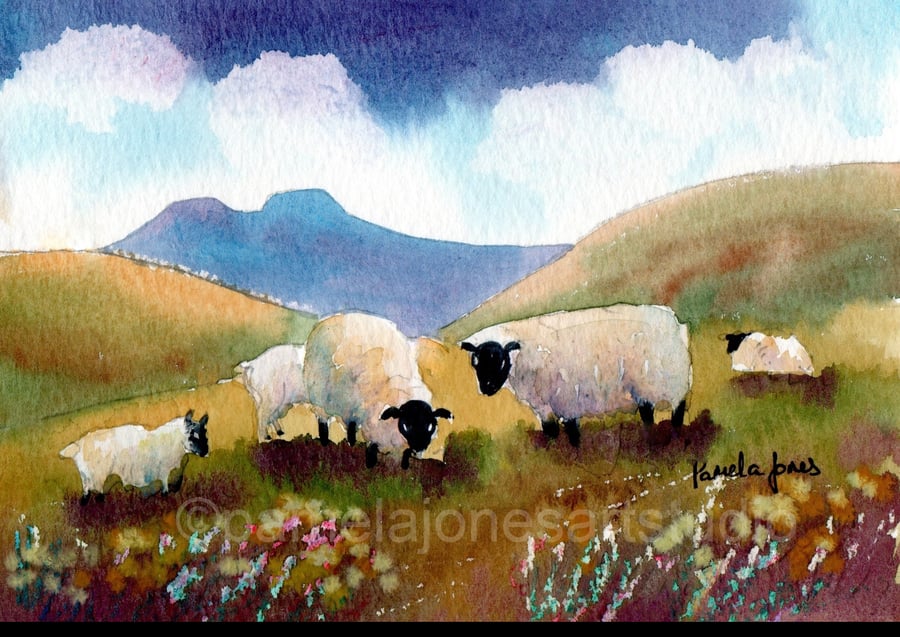 Sheep In The Brecon Beacons, Watercolour Print in 14 x 11'' Mount.