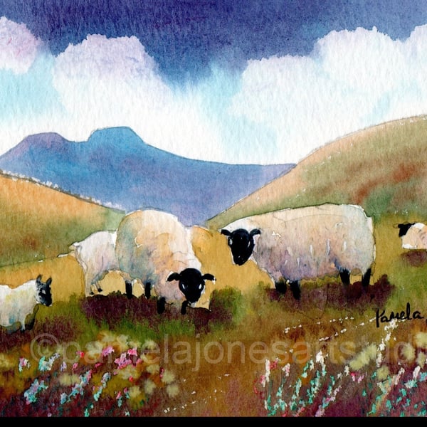 Sheep In The Brecon Beacons, Watercolour Print in 14 x 11'' Mount.