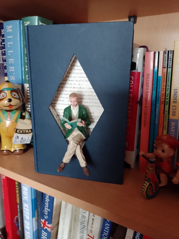 Lost in a book, man reading inside book, Wall hanging book nook, Booknook, Books