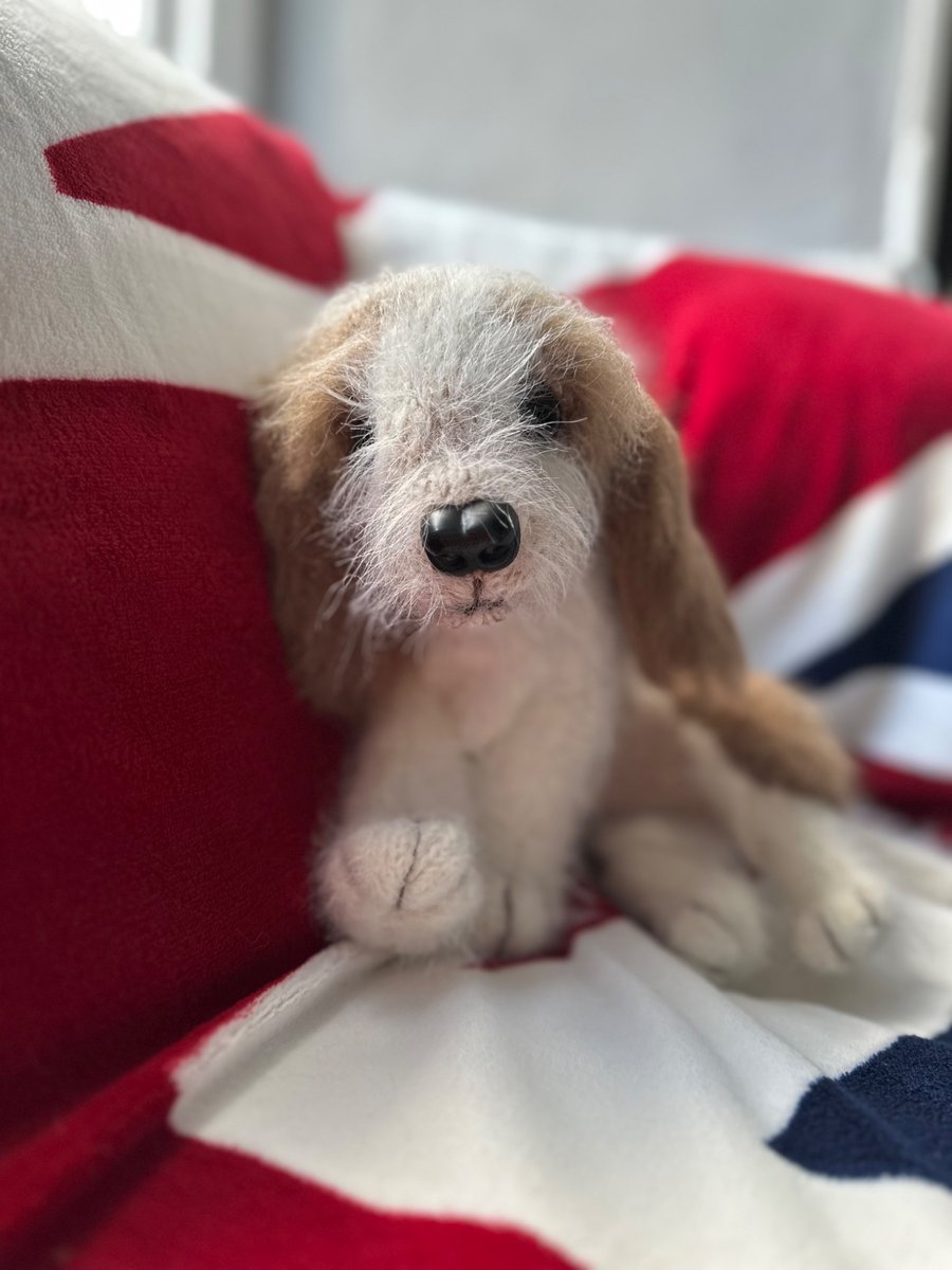 Little Autumn Puppy