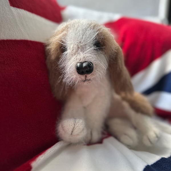 Little Autumn Puppy
