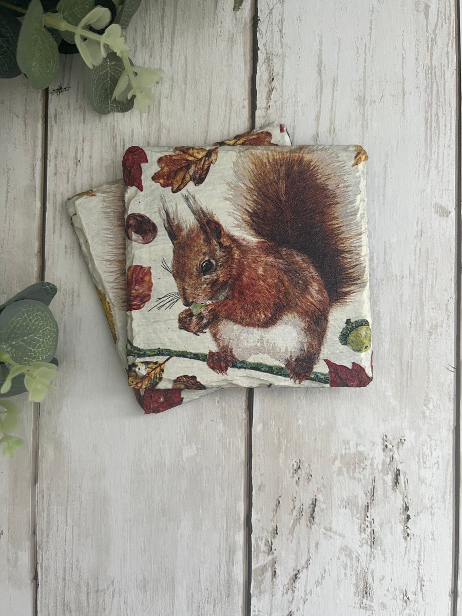 Slate Coasters Set of 2: Decoupage Red Squirrel, Home Decor, Dining, Gifts