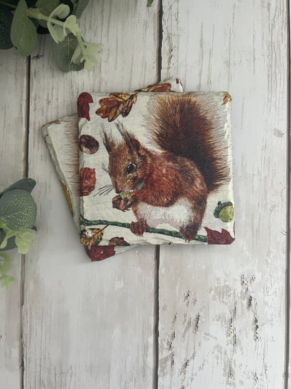 Slate Coasters Set of 2: Decoupage Red Squirrel, Home Decor, Dining, Gifts