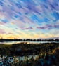 A5 Blank Greeting Card Welney Norfolk  - Image 1