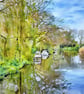 A4 Print Of Boats & Willow Trees Well Creek Norfolk - Image 1