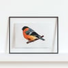 Original Bullfinch lino print limited edition