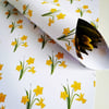 Daffodil Gift Wrap, Wrapping Paper, floral wrapping paper, flowery gift wrap