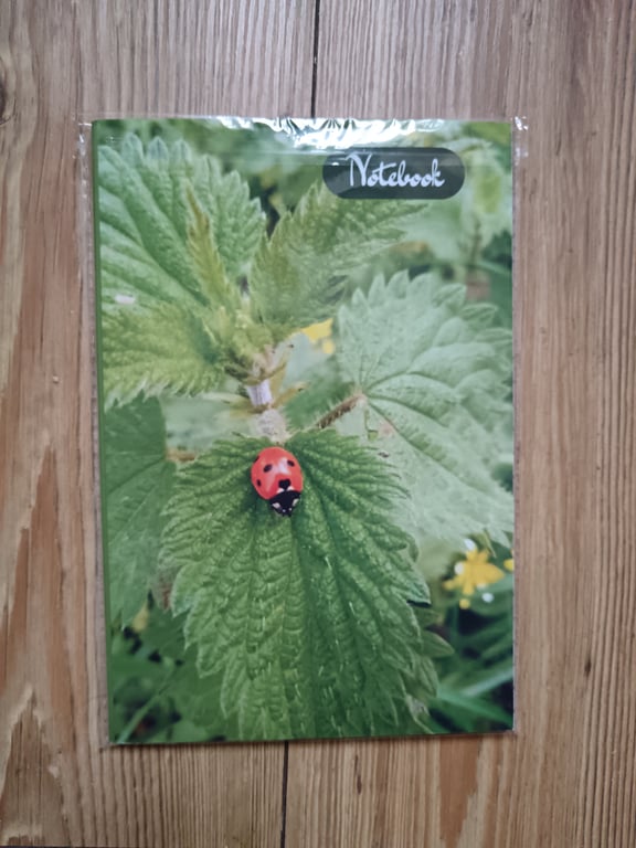 Beautiful Ladybird Nature Themed 120 lined page Notebook