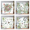 Mixed pack of 4 Botanical Greeting cards 