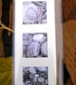 PHOTO CARDS - Barra Pebbes triple - Image 1