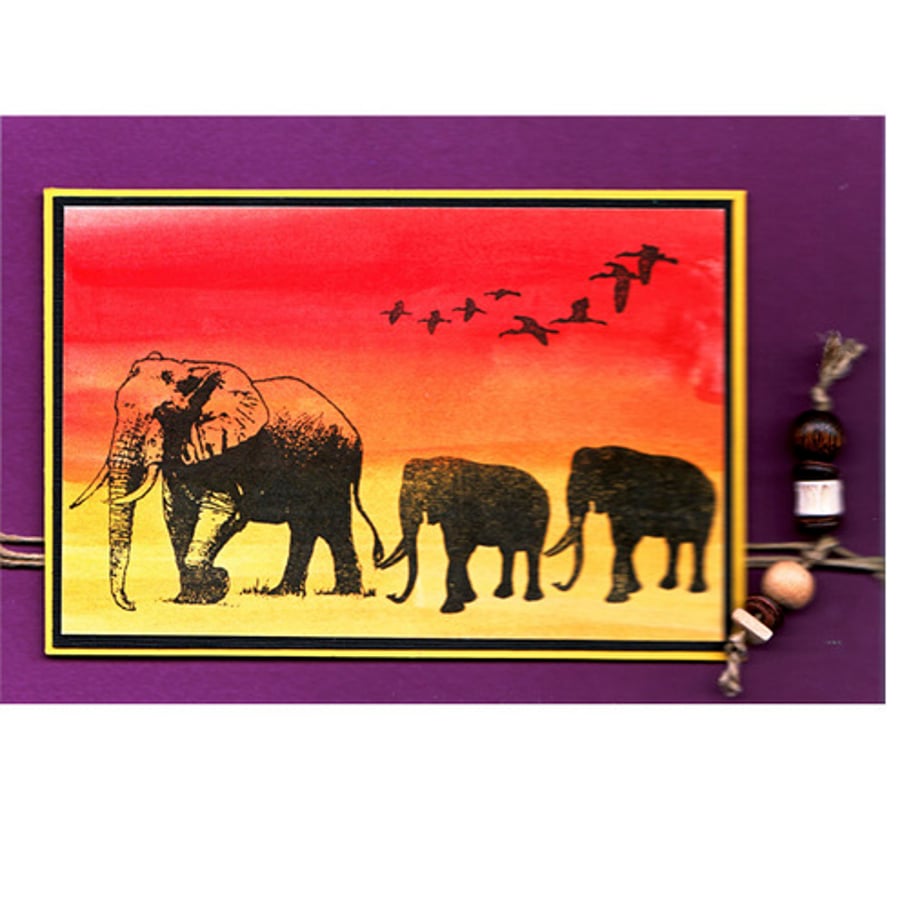 Africa Elephants on Parade (AF199)