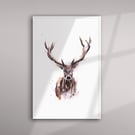 Elk Watercolor Painting Signed Limited Edition Art Print