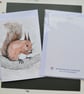 Hand Painted Red Squirrel Greetings Card with Envelope - Blank inside - Image 7
