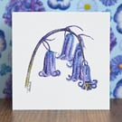 Bluebell Blank Floral Card