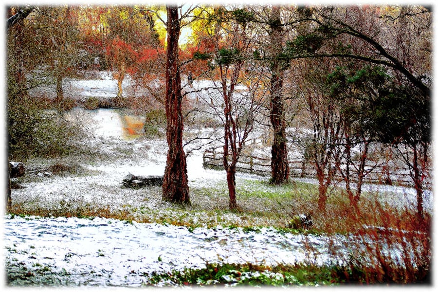 Picture Winters Day in Yeovil Snowfall, Digital Art Print