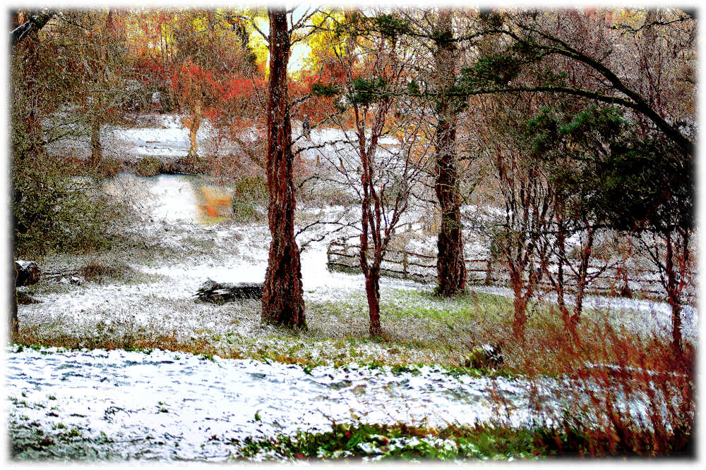 Picture Winters Day in Yeovil Snowfall, Digital Art Print