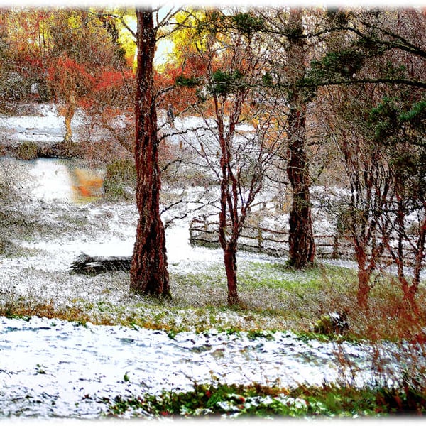 Picture Winters Day in Yeovil Snowfall, Digital Art Print