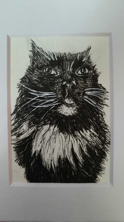 A6 Hand Drawn Pet Portrait