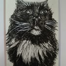 A6 Hand Drawn Pet Portrait