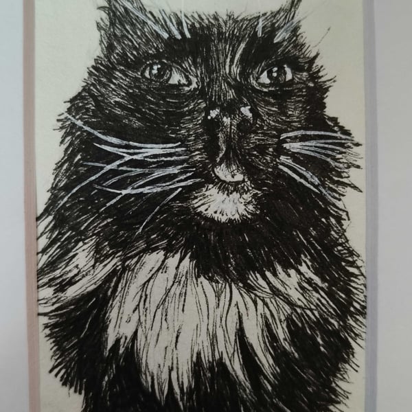 A6 Hand Drawn Pet Portrait