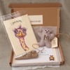 Teddy bear letterbox gift, bear hugs birthday gift box,  perfectly imperfect 