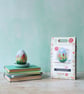 The Crafty Kit Company 'Cottage Garden Egg' Needle Felting Kit - Image 4