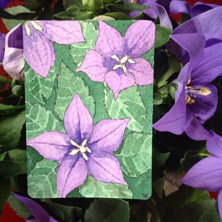 ACEO Original watercolour 'Purple flowered Pot Plant'