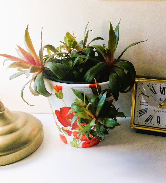Poppy Decoupage Indoor Pot