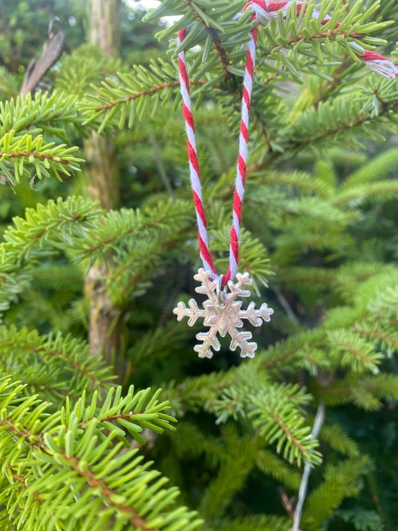 Silver Snowflake Christmas Decoration