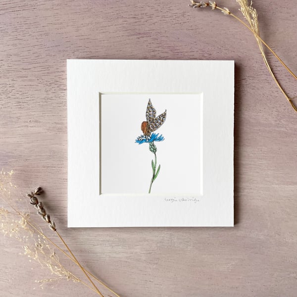 'Cornflower Fairy' 5" x 5" Mounted Print