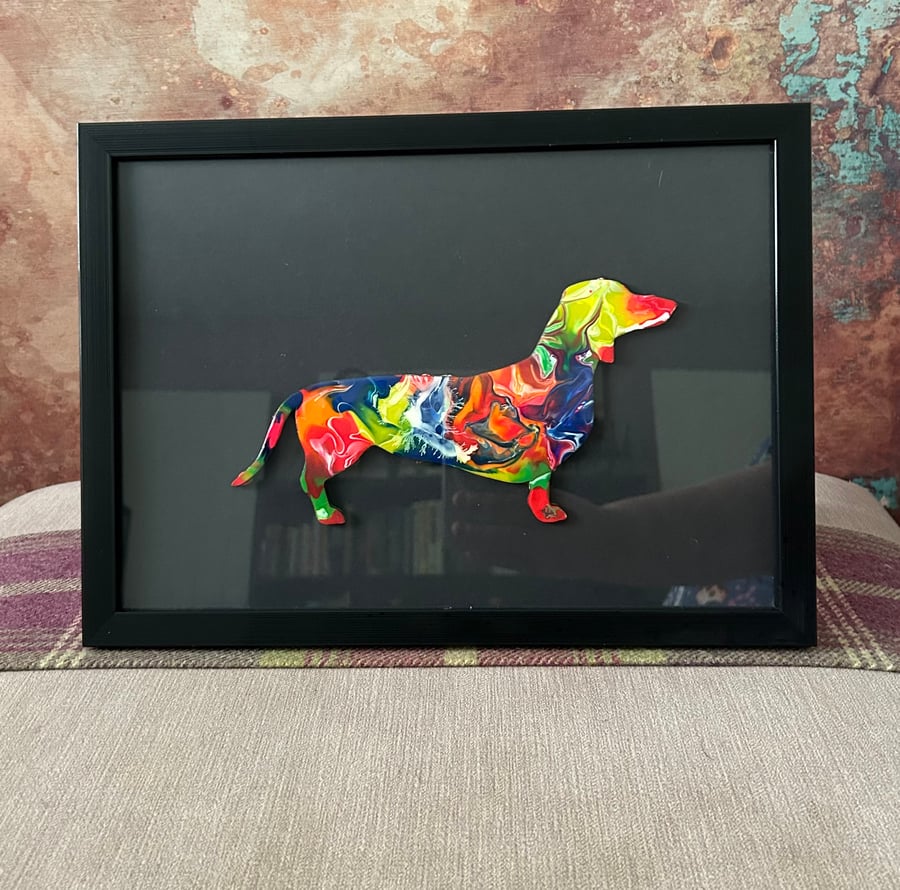 Colourful Cheerful Dachshund 