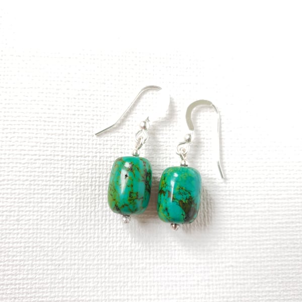Turquoise Coloured Magnesite Gemstone Drop Earrings Sterling Silver