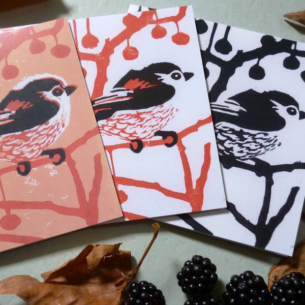 Pk 3 Longtail Cards