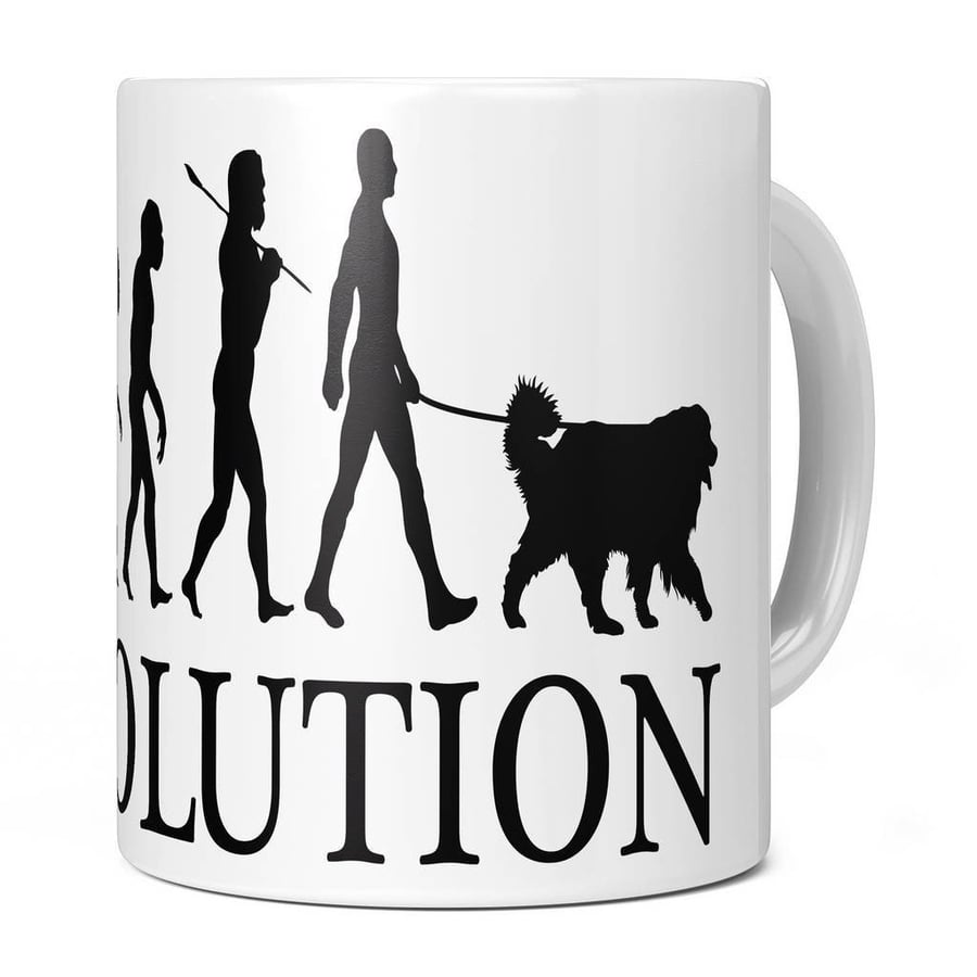 Bernese Mountain Dog Evolution 11oz Coffee Mug Cup - Perfect Birthday Gift for H