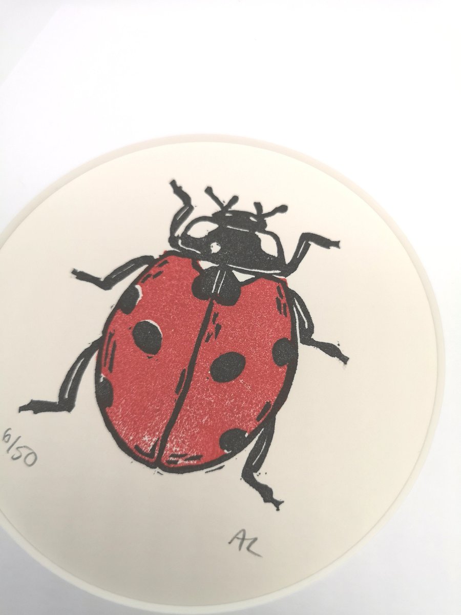 Hand Printed Ladybird Print