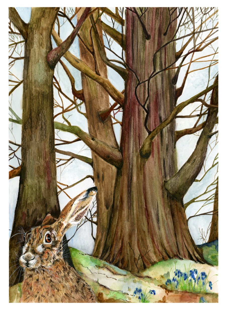 Hare in Woods A4 8x11inche giclee print
