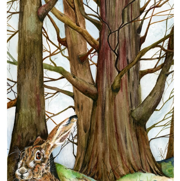 Hare in Woods A4 8x11inche giclee print