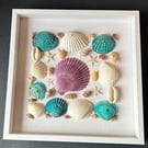 Framed picture of Seashells in a Square Shape