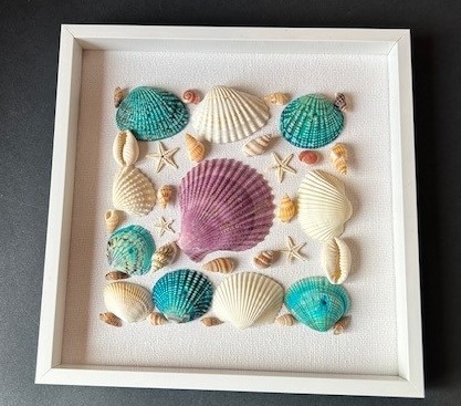 Framed picture of Seashells in a Square Shape