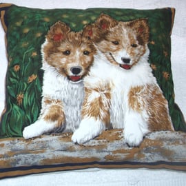 Lovely Corgi pups waiting for some fun cushion 
