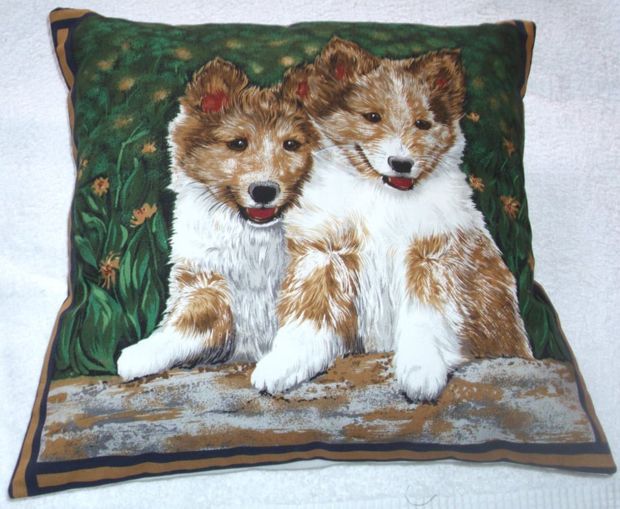 Lovely Corgi pups waiting for some fun cushion 