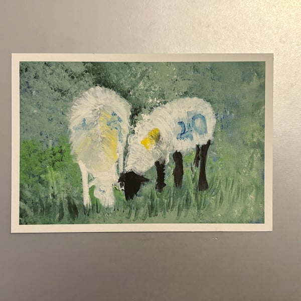 Sheep Small Fine Art Print 