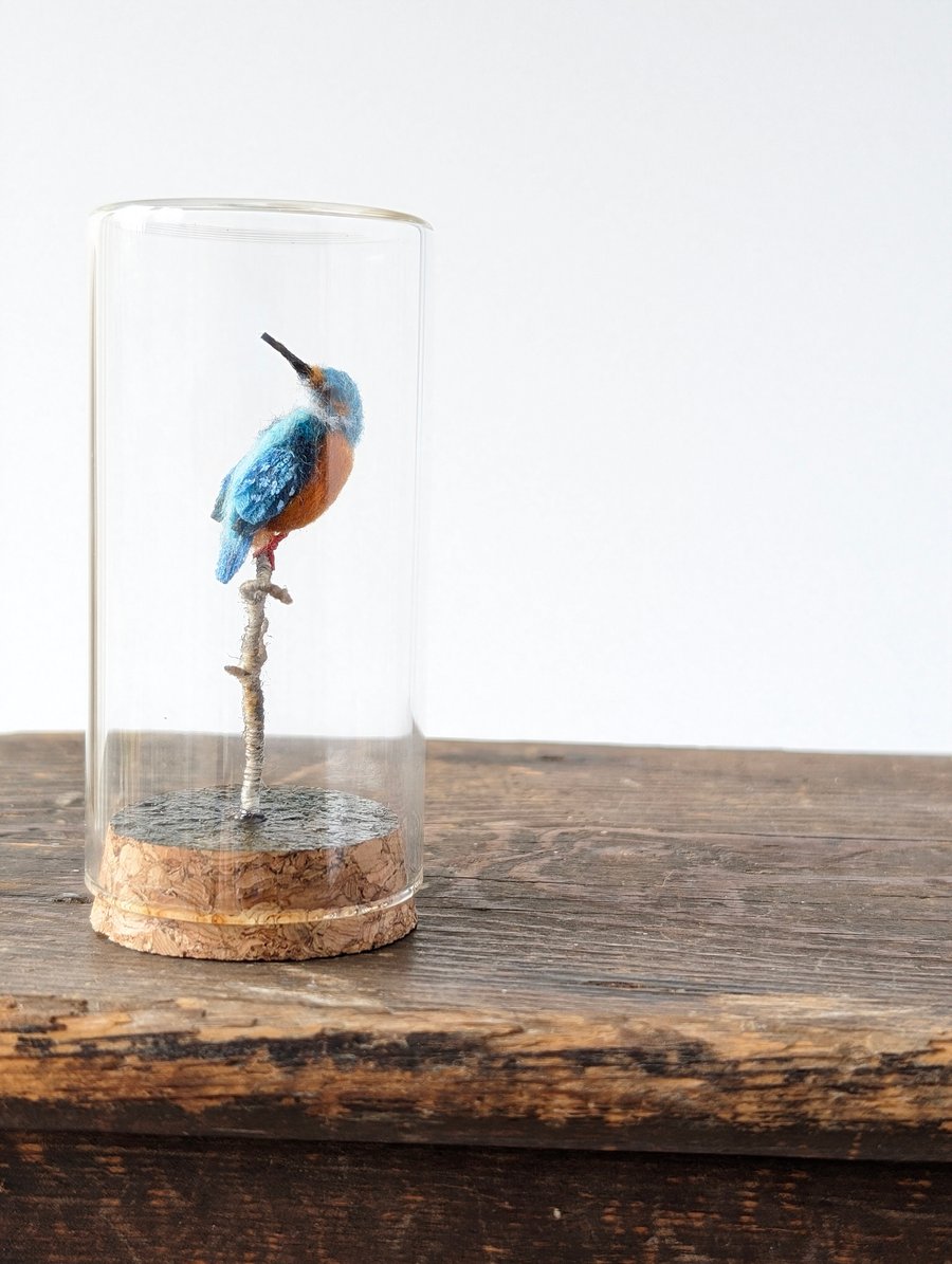 Tiny Kingfisher in a jar