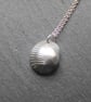 Small Fine Silver Cockle Shell Necklace - Image 4