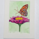 Original painting Butterfly on flower 